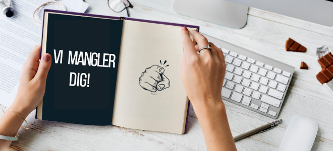 IT Product Owner